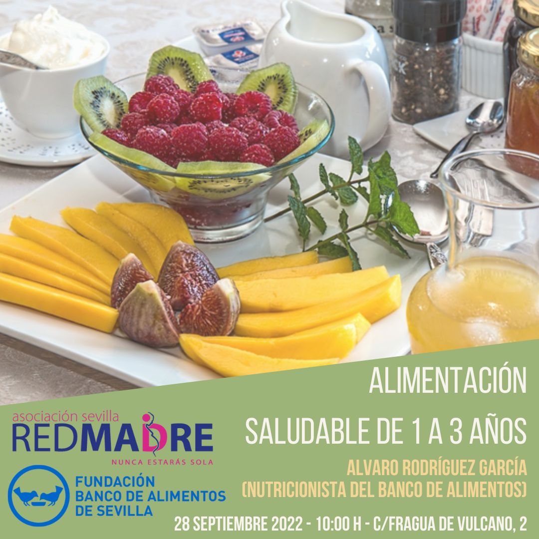 Taller De Alimentación Saludable De 1 A 3 Años Fundación Redmadre 1934